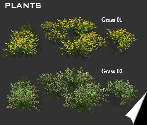 Plants