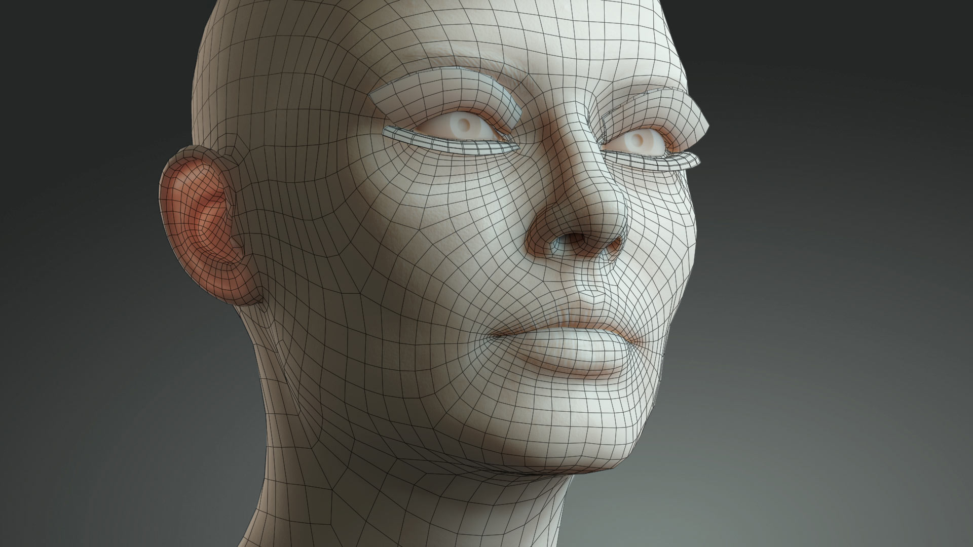 3d topology head