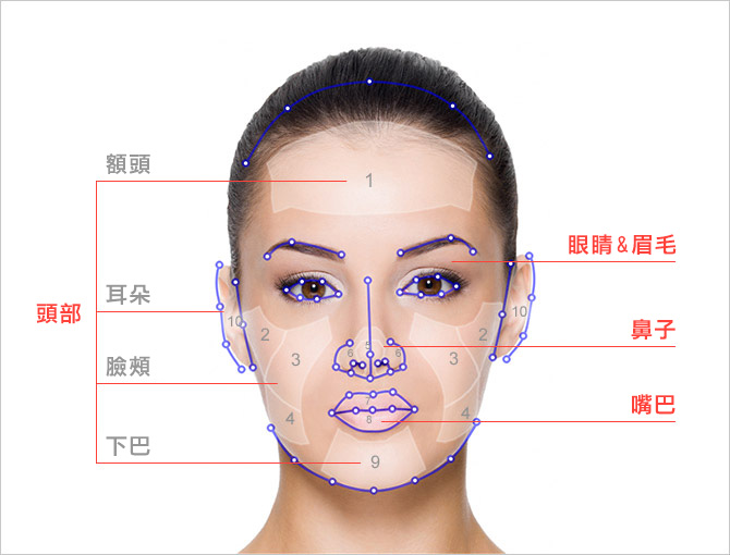 3D 头部制作 - 整型及形变混用设计 - 正面照片