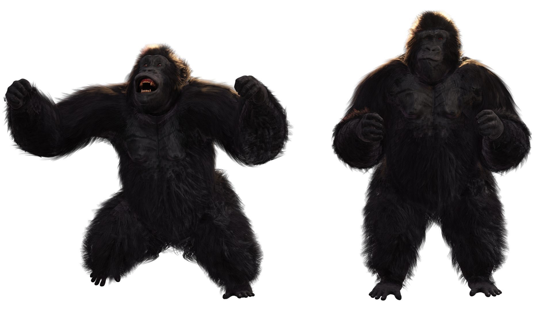 RM3D Gorilla Family - Character Creator/Actor - Reallusion Content Store