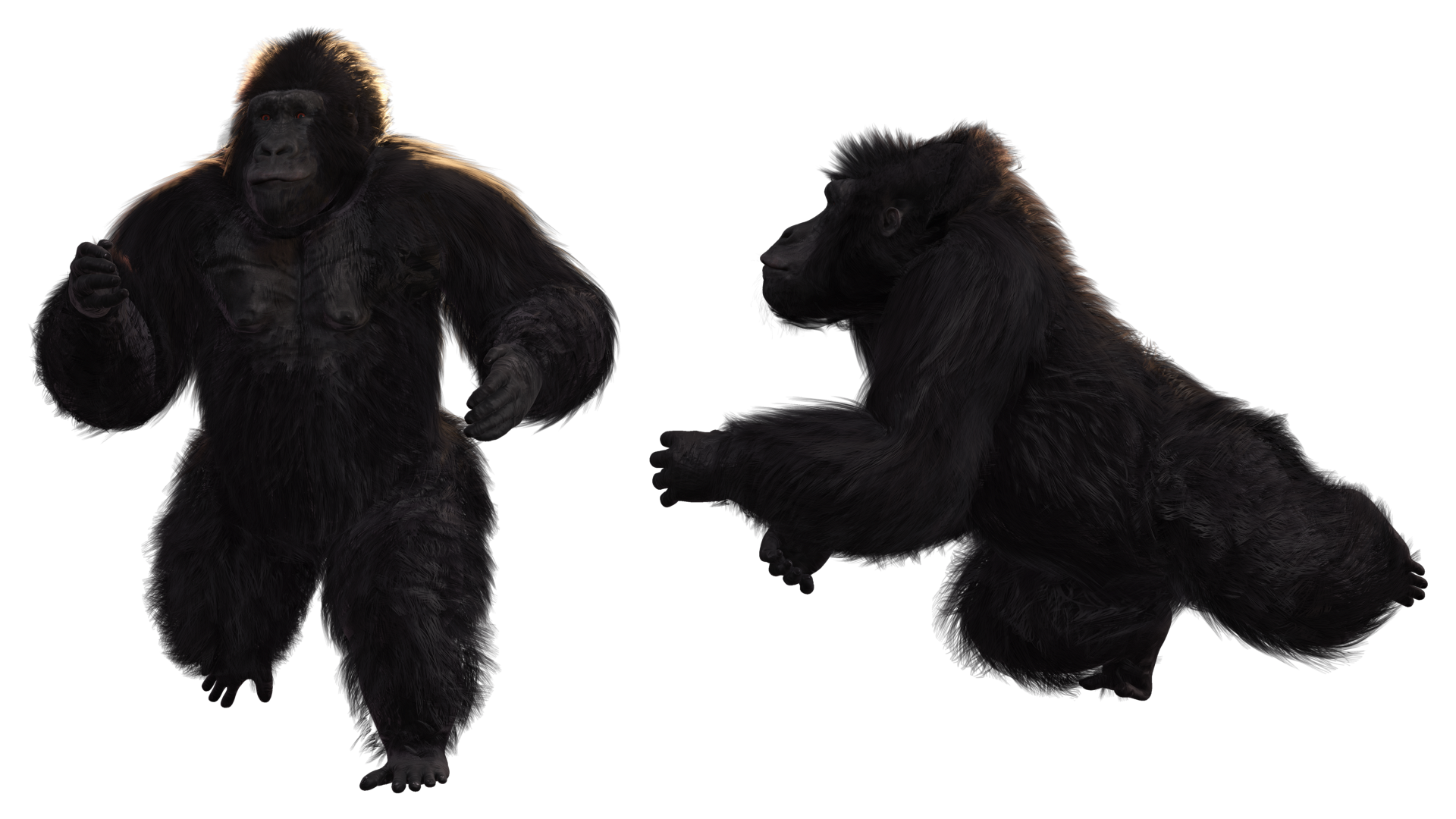 RM3D Gorilla Family - Character Creator/Actor - Reallusion Content Store