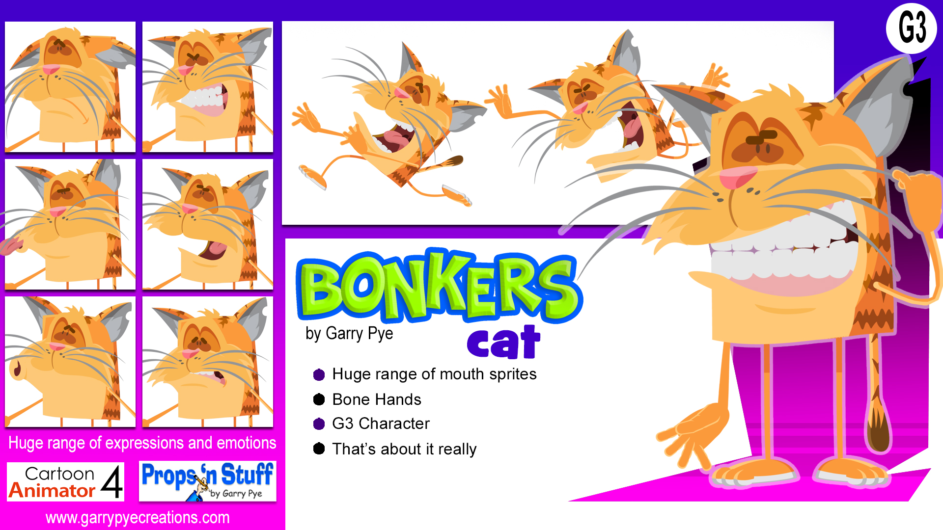 Bonkers Cat