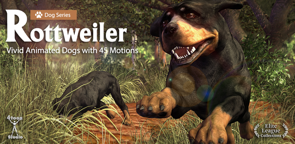 Dog Series-Rottweiler