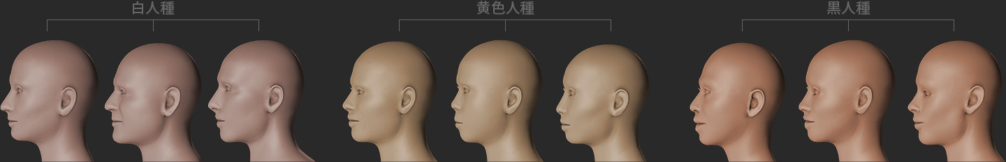 Headshot 画像から 3d 頭部モデルを生成