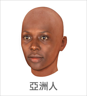 3D 臉部輪廓 - 亞洲人