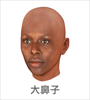 3D 臉部輪廓 - 大鼻子