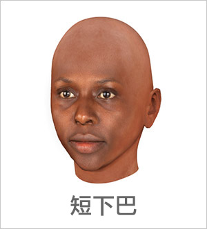 3D 臉部輪廓 - 短下巴