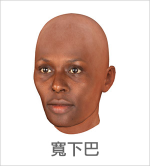 3D 臉部輪廓 - 寬下巴